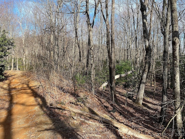 TBD Little Pisgah Rd, Fairview, NC 28730 - photo 14