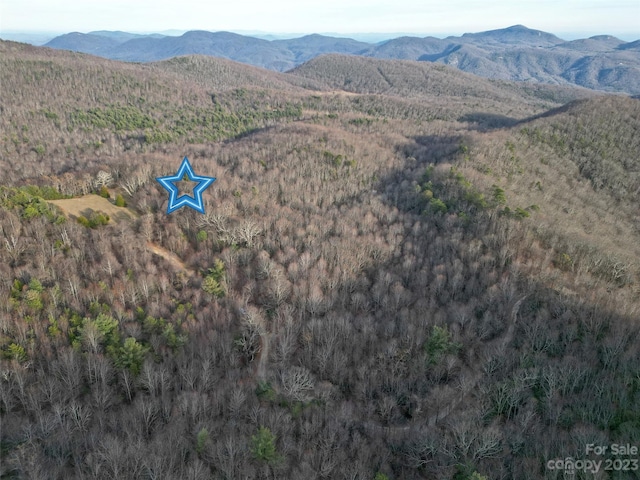 TBD Little Pisgah Rd, Fairview, NC 28730 - photo 15