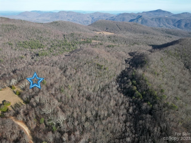 TBD Little Pisgah Rd, Fairview, NC 28730 - photo 16