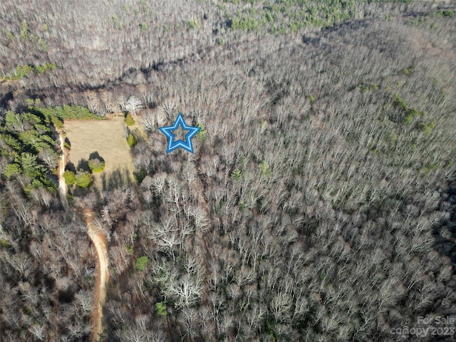TBD Little Pisgah Rd, Fairview, NC 28730 - photo 17
