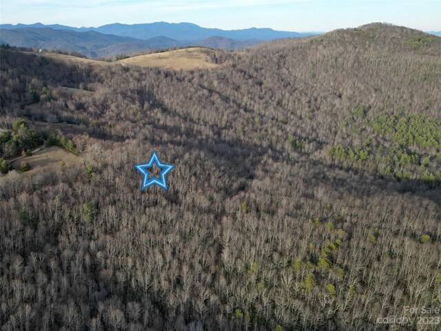 TBD Little Pisgah Rd, Fairview, NC 28730 - photo 18