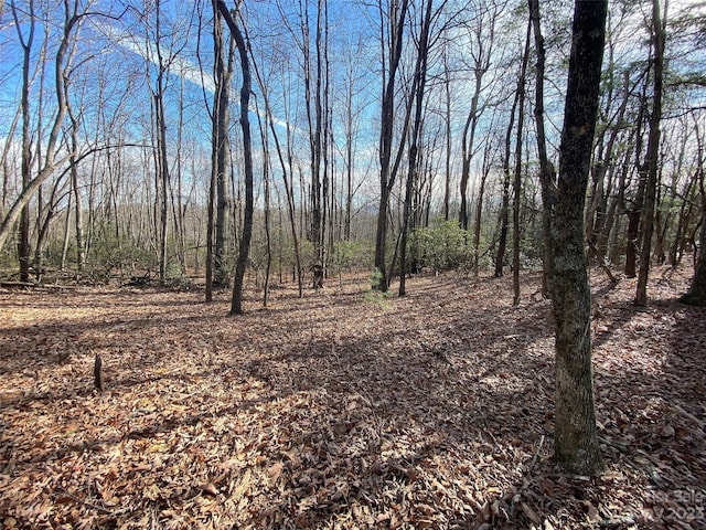 TBD Little Pisgah Rd, Fairview, NC 28730 - photo 19