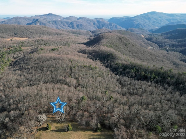 TBD Little Pisgah Rd, Fairview, NC 28730 - photo 20