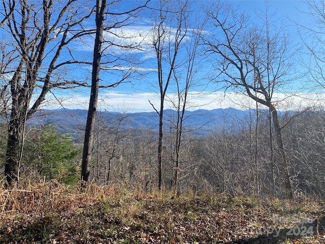 Listing photo 2 for LOT47 Montrose Ln Unit 47, Waynesville NC 28785