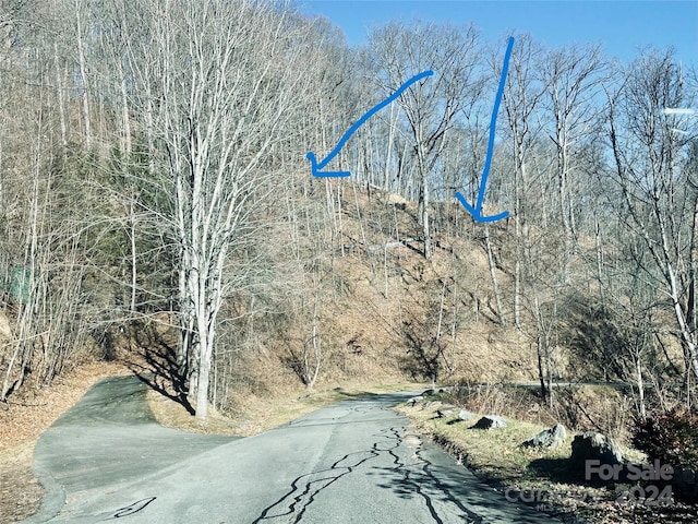 Listing photo 3 for LOT47 Montrose Ln Unit 47, Waynesville NC 28785