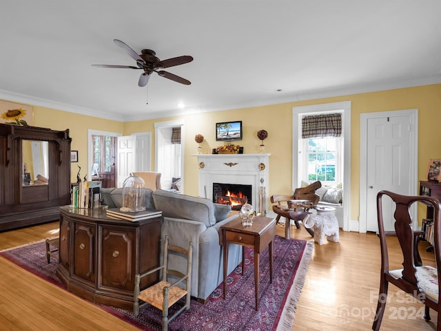 living room with crown molding, ceiling fan, and light hardwood / wood-style floors