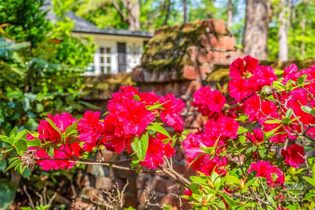 429 S Ridgecrest Ave, Rutherfordton, NC 28139 - view of details