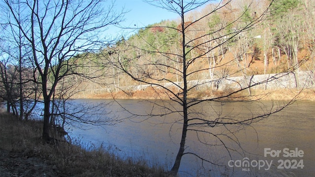 2079 Roses Branch Rd, Green Mountain NC, 28740 land for sale