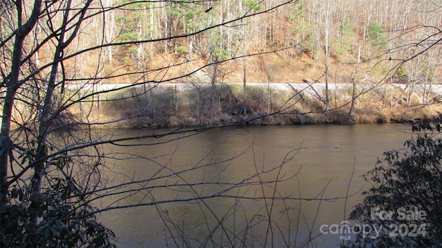 Listing photo 3 for 2079 Roses Branch Rd, Green Mountain NC 28740