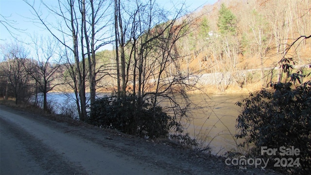 2079 Roses Branch Rd, Green Mountain, NC 28740 - photo 4