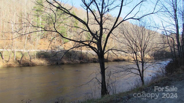 2079 Roses Branch Rd, Green Mountain, NC 28740 - photo 5