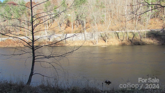 2079 Roses Branch Rd, Green Mountain, NC 28740 - photo 6