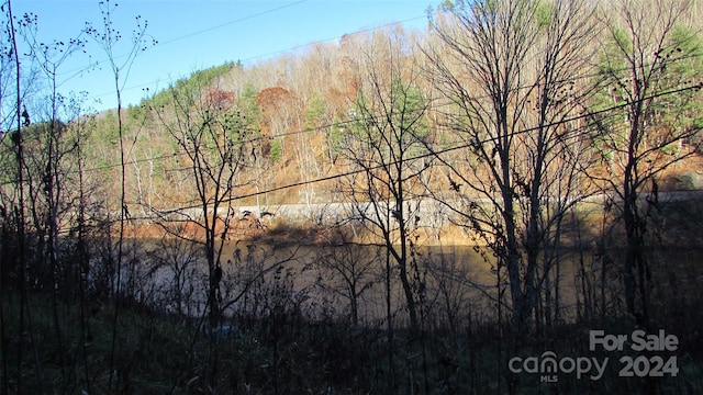2079 Roses Branch Rd, Green Mountain, NC 28740 - photo 7