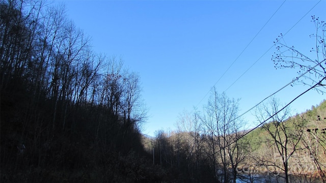 2079 Roses Branch Rd, Green Mountain, NC 28740 - photo 8
