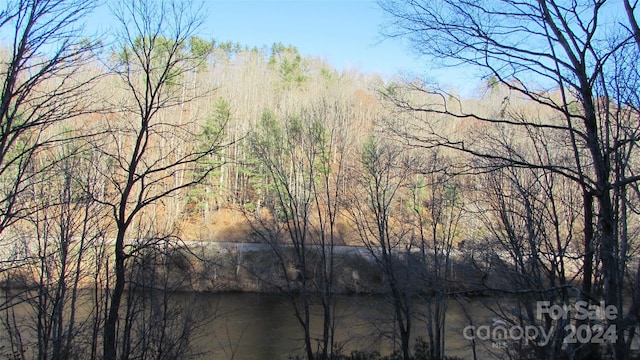 2079 Roses Branch Rd, Green Mountain, NC 28740 - photo 9
