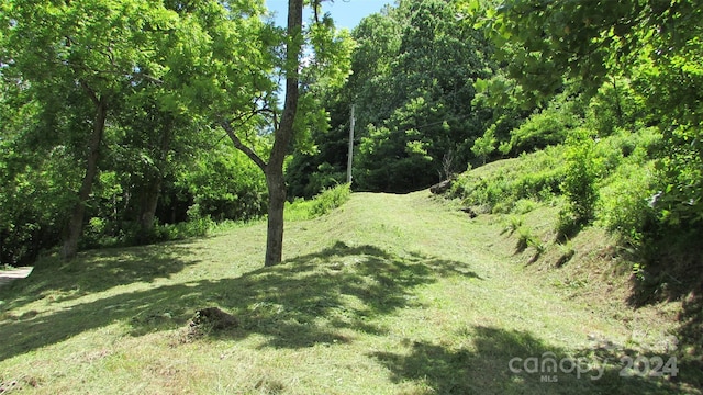 2079 Roses Branch Rd, Green Mountain, NC 28740 - photo 11