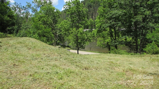 2079 Roses Branch Rd, Green Mountain, NC 28740 - photo 14