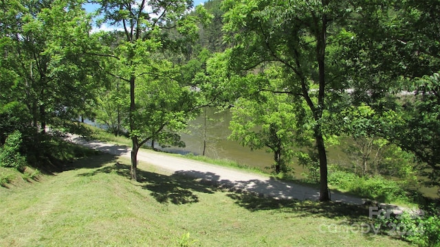 2079 Roses Branch Rd, Green Mountain, NC 28740 - photo 22