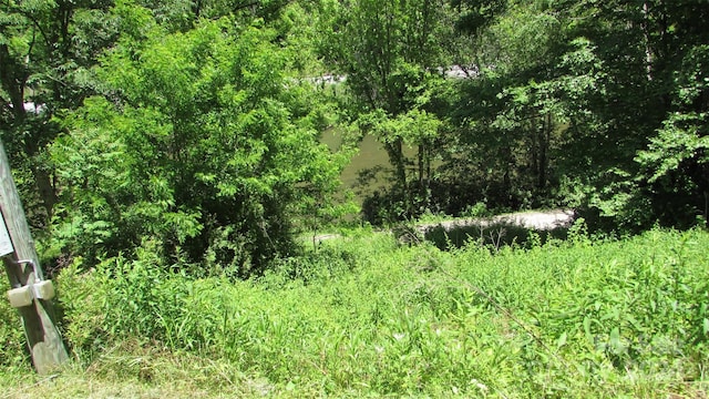 2079 Roses Branch Rd, Green Mountain, NC 28740 - photo 23
