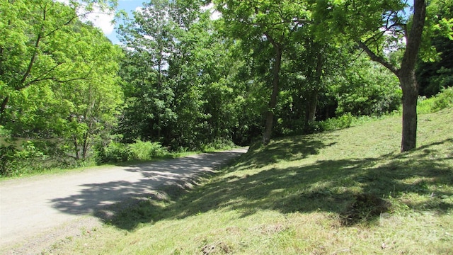 2079 Roses Branch Rd, Green Mountain, NC 28740 - photo 24