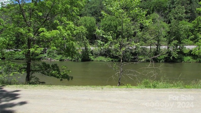 2079 Roses Branch Rd, Green Mountain, NC 28740 - photo 25