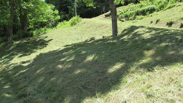 2079 Roses Branch Rd, Green Mountain, NC 28740 - photo 26