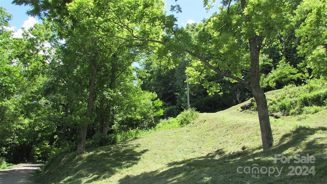 2079 Roses Branch Rd, Green Mountain, NC 28740 - photo 27