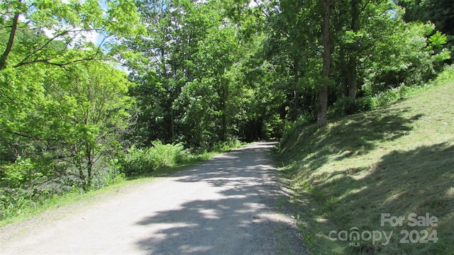 2079 Roses Branch Rd, Green Mountain, NC 28740 - photo 28