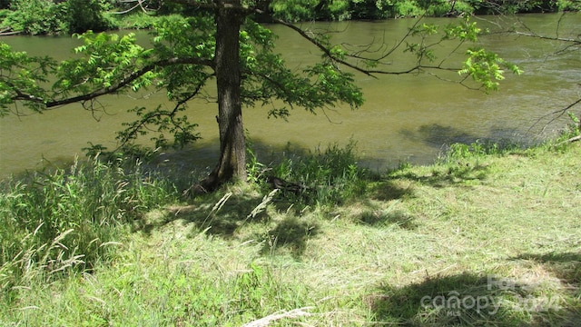 2079 Roses Branch Rd, Green Mountain, NC 28740 - photo 32