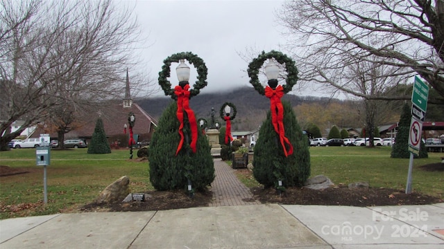 2079 Roses Branch Rd, Green Mountain, NC 28740 - photo 39