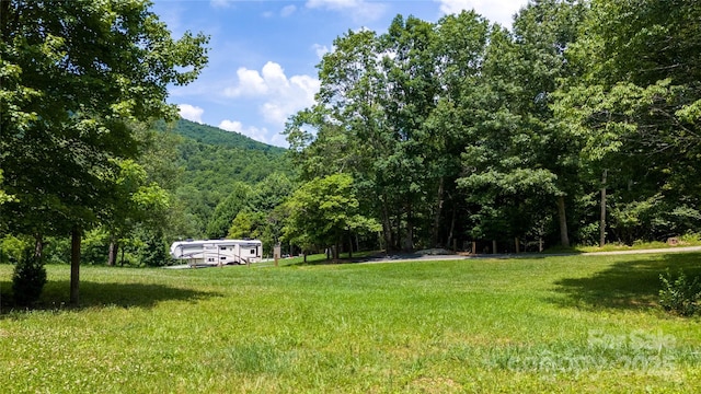 view of yard featuring a mountain view