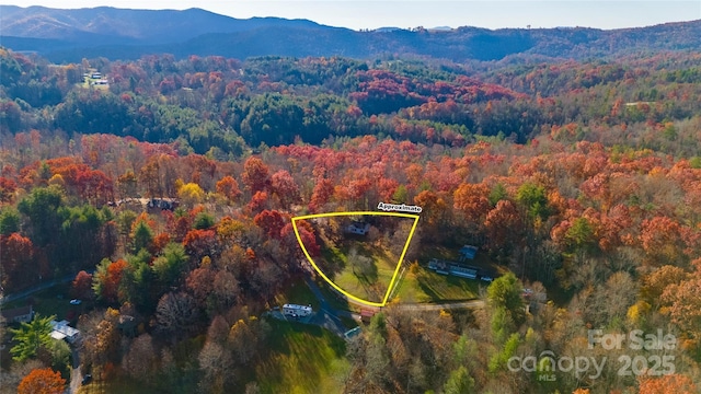 bird's eye view with a mountain view