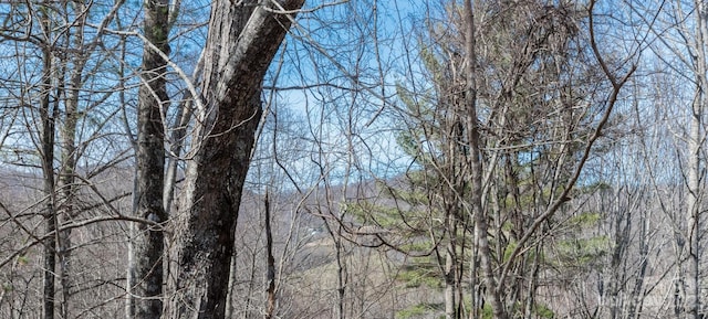 TBD River Breeze Dr Unit 2, Creston, NC 28615 - photo 4