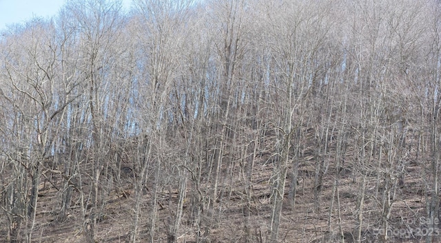 TBD River Breeze Dr Unit 2, Creston, NC 28615 - photo 5