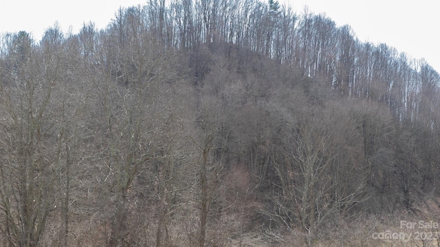 TBD River Breeze Dr Unit 2, Creston, NC 28615 - photo 7