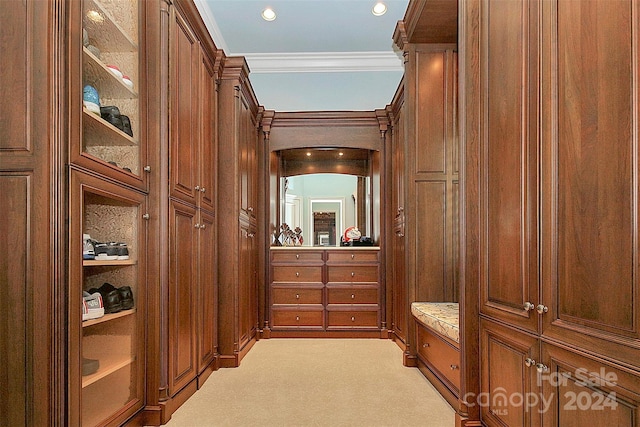 spacious closet featuring light carpet