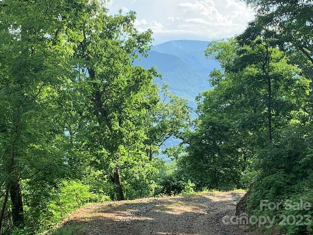 Listing photo 2 for LOT8 Deep Spring Rd, Sylva NC 28779