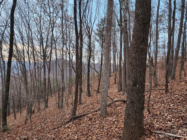 22 Mountain Lookout Dr, Bostic, NC 28018 - photo 5