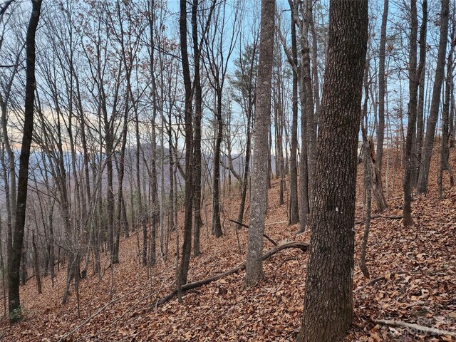 22 Mountain Lookout Dr, Bostic, NC 28018 - photo 6