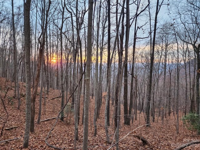 22 Mountain Lookout Dr, Bostic, NC 28018 - photo 10