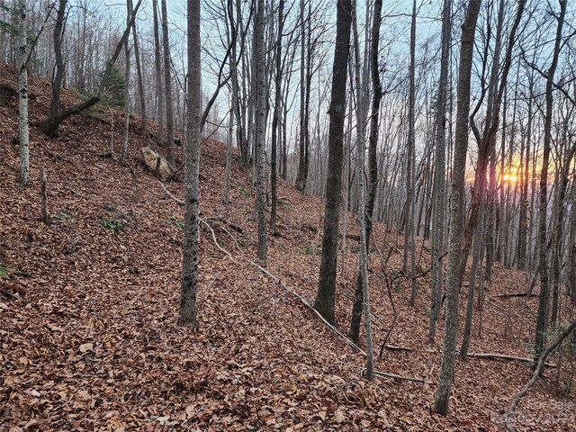 22 Mountain Lookout Dr, Bostic, NC 28018 - photo 11