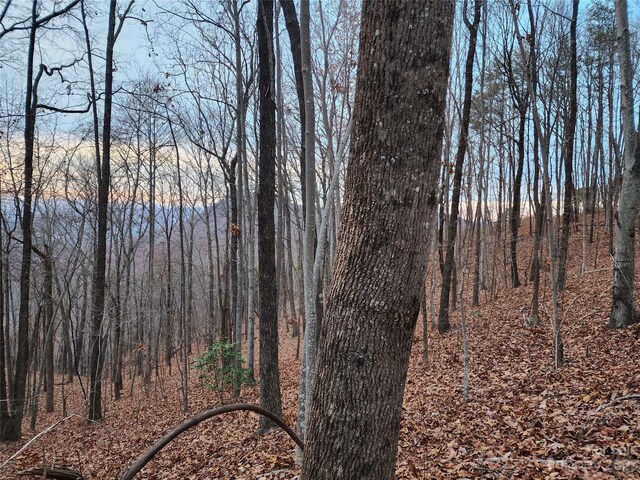 22 Mountain Lookout Dr, Bostic, NC 28018 - photo 12