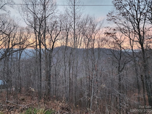 22 Mountain Lookout Dr, Bostic, NC 28018 - photo 14