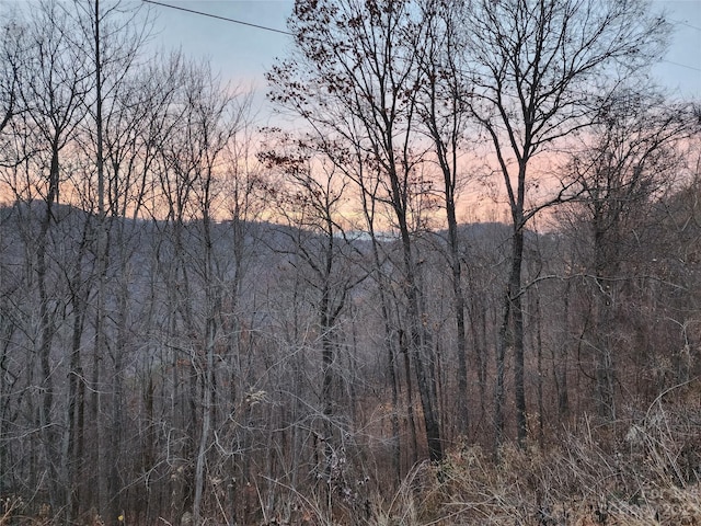 22 Mountain Lookout Dr, Bostic, NC 28018 - photo 15