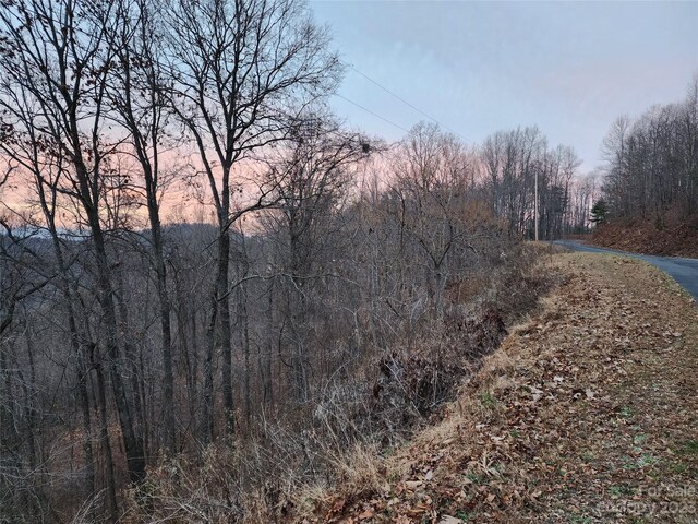 22 Mountain Lookout Dr, Bostic, NC 28018 - photo 16