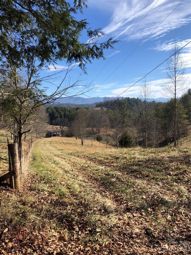 00 Silver Mill Rd, Marshall NC, 28753 land for sale