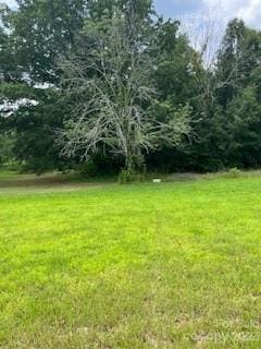 0 Cull Williams Ln, Indian Trail, NC 28079 - photo 4