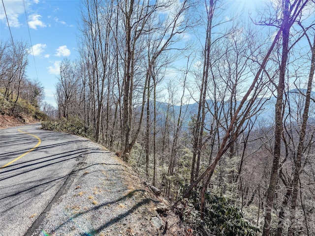 TBD Laurel Ridge Rd, Maggie Valley NC, 28751 land for sale