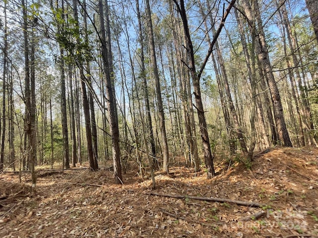 Listing photo 3 for 0 Dry Creek Rd, Candor NC 27229