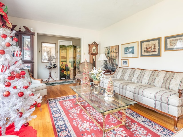 living room with hardwood / wood-style floors